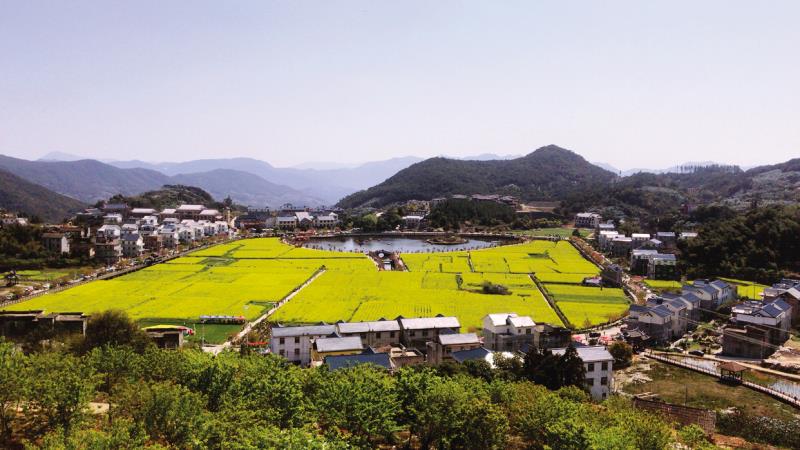 莆田实际人口_莆田鞋