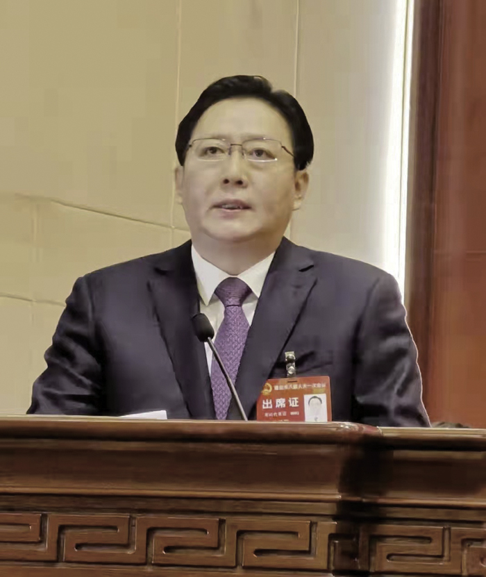 执行主席是:付朝阳,阮军,苏永革,沈萌芽,沈金水,郑祖杰,林金波,何金清