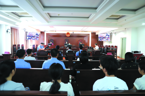 linsh2408151.jpg
