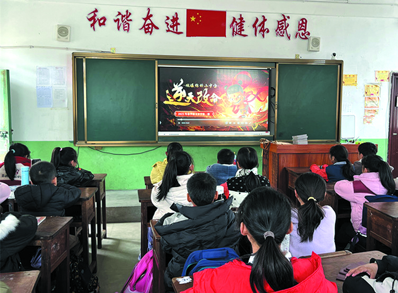 linsh2502213.jpg