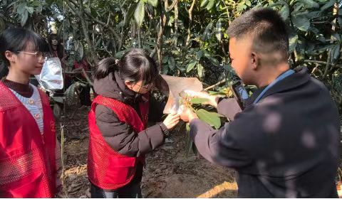 微信图片_20250318091824.jpg