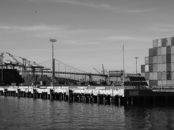 20250511_PEPFN0A001.jpg